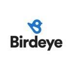 Birdeye, a review platform online, and their logoi