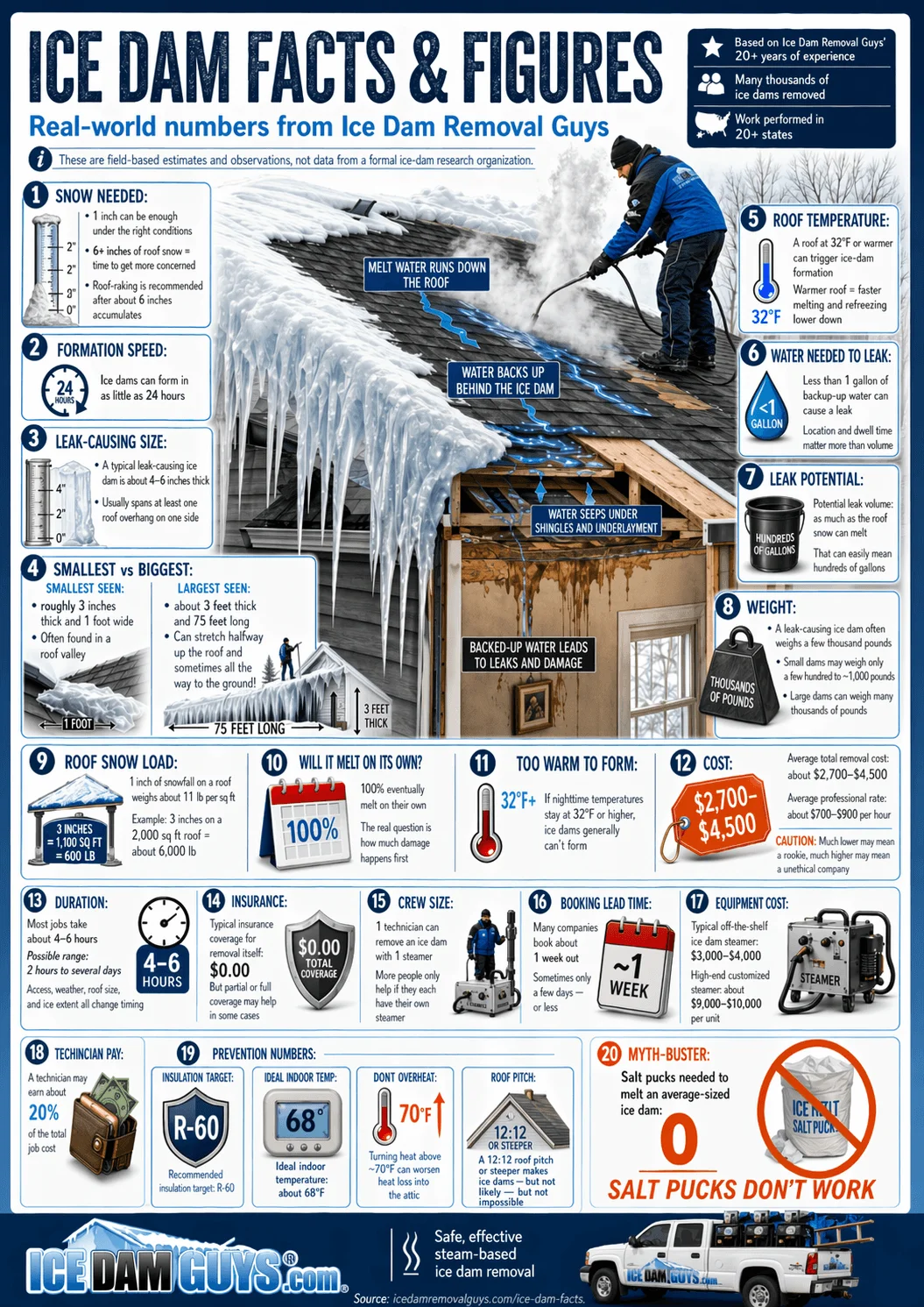 Infographic
