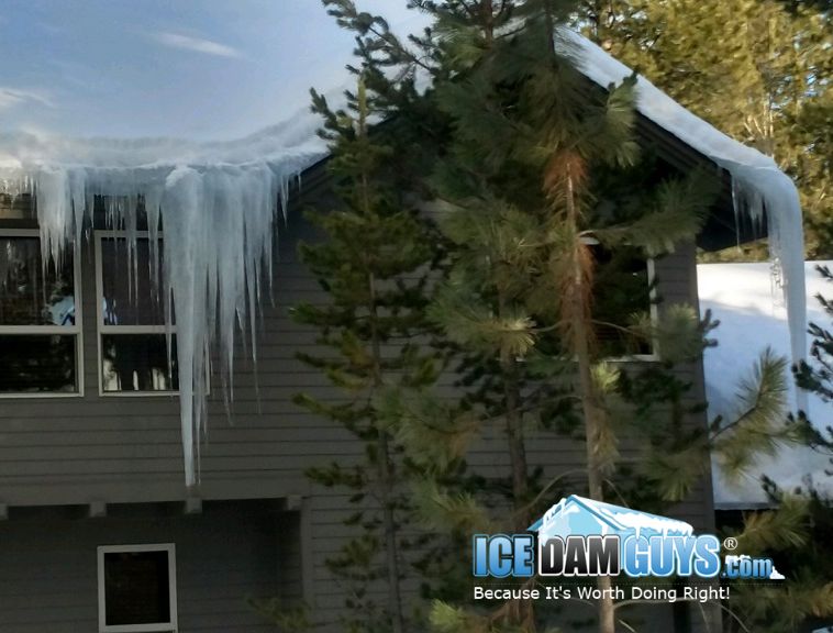 The Ice Dam Guys frequently help vacation rental owners with ice dams. Here there is a large bank of ice forming a large icicle. It looks to be five or more feet in length and wide. It's coming from an ice dam hanging over the gutter with evergreens in the foreground.